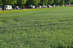 Foto-09.05.26-07-58-47