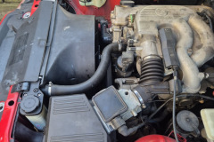 Foto-10.04.25-06-43-05